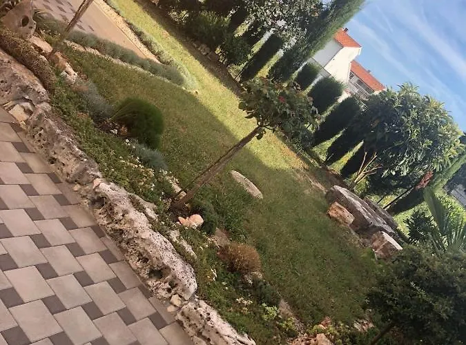 Luka 바르바리가