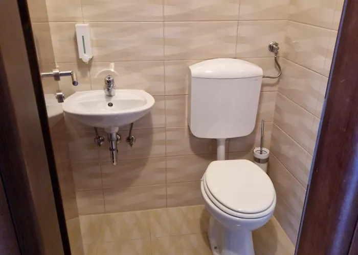 Luka 바르바리가